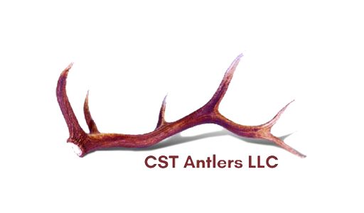 petfest sponsor logo cst antlers