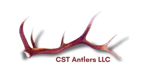 CST antlers logo 2
