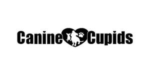 canine cupids logo 2