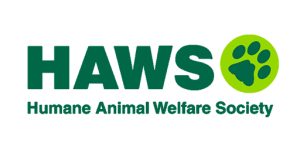 hAWS logo 2