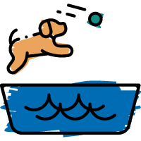 Petfest Dock Diving icon