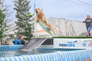 PierPups Dock Diving 2